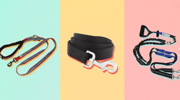Top several Best Leashes for Dogs That Pull
