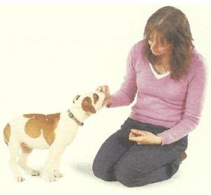 The method of training dogs to sit down